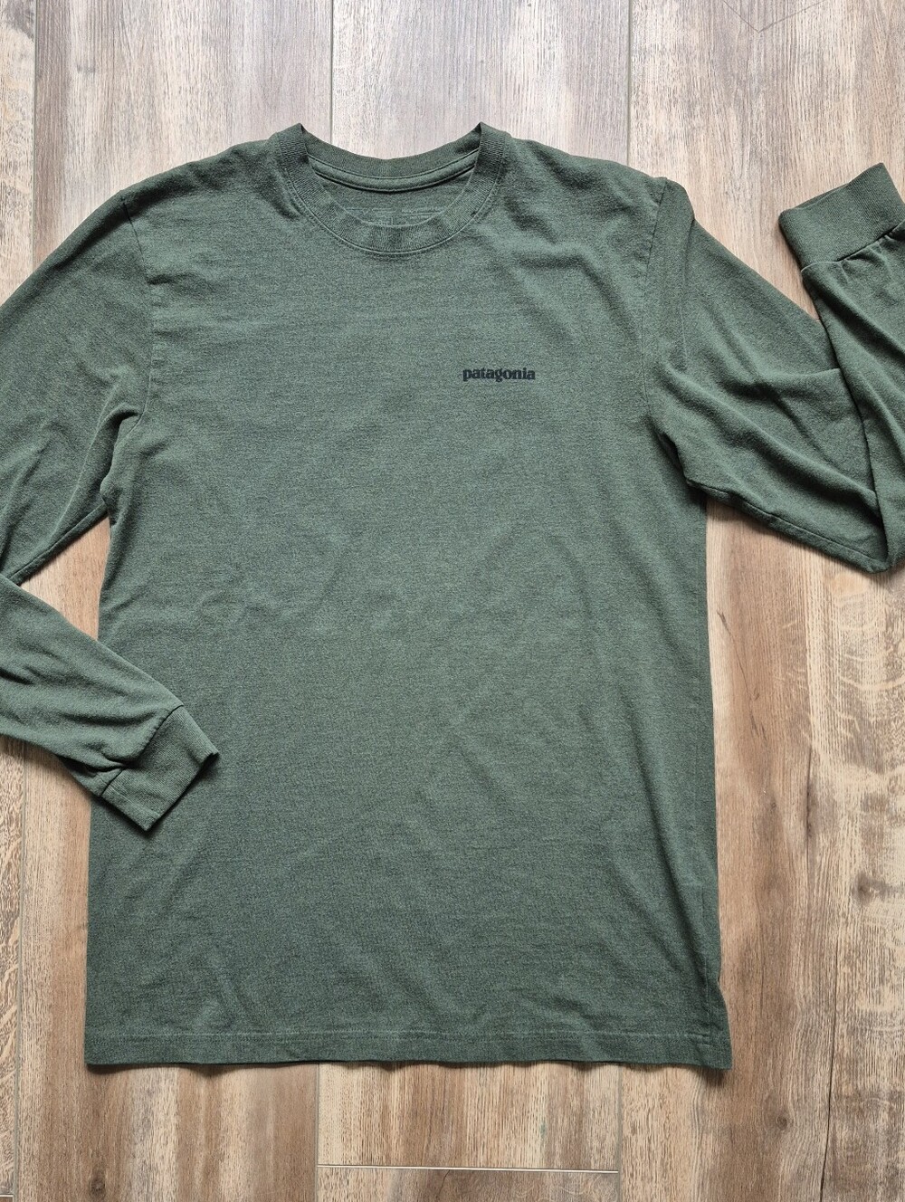 Patagonia Men's Long Sleeve Crew Tee - Green